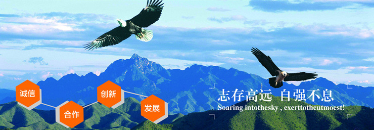 卓銳貨架公司簡(jiǎn)介